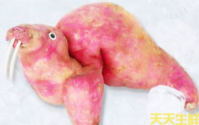 幼兒園蔬菜手工作業(yè)(圖4)