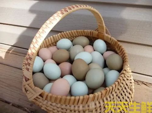 廣州蔬菜配送告訴你常見(jiàn)雞蛋有哪些品種？(圖2)