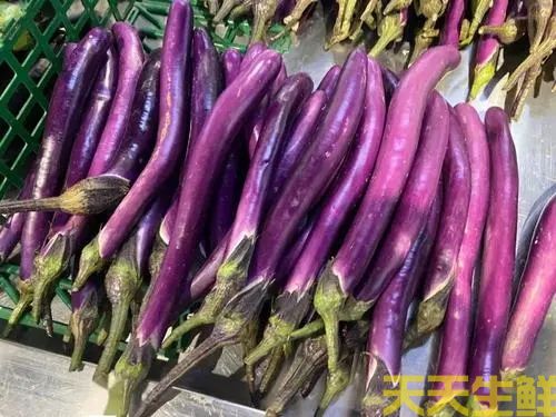 廣州農(nóng)產(chǎn)品配送公司告訴你，常見茄子的種類有哪些？(圖3)