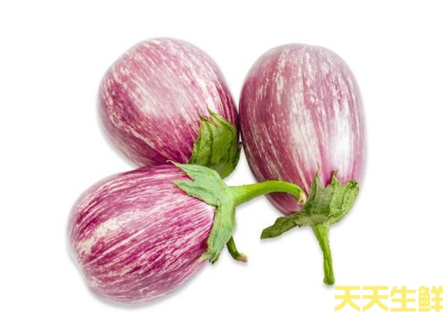 廣州農(nóng)產(chǎn)品配送公司告訴你，茄子的種類有哪些？(圖5)