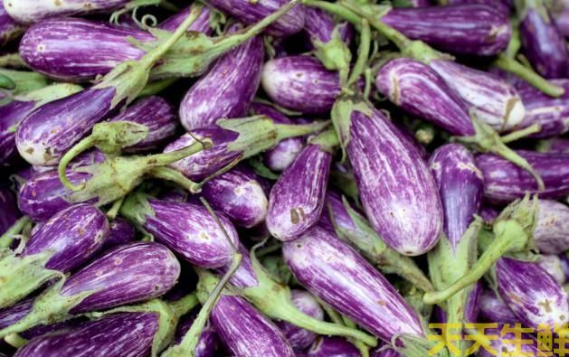 廣州農(nóng)產(chǎn)品配送公司告訴你，茄子的種類有哪些？(圖6)