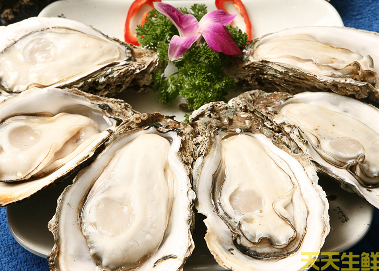 廣州送菜公司分享：常見的海鮮貝類有哪些？(圖9)