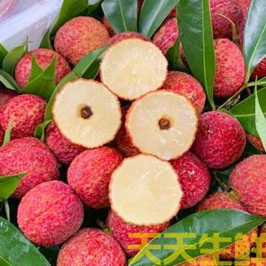 荔枝的品種有哪些？廣州蔬菜配送公司科普(圖3)