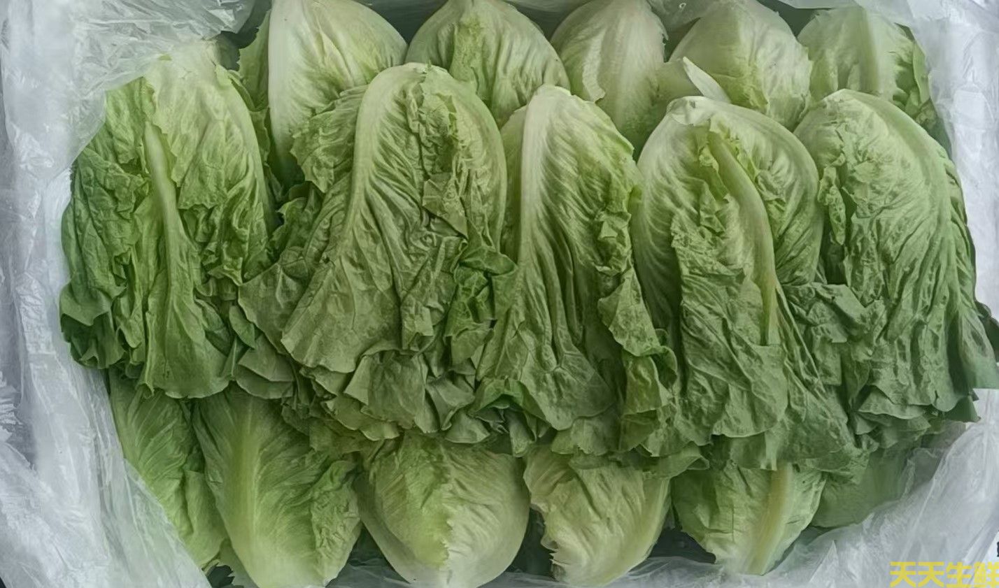 2024年7.8月份蔬菜價格為什么連續(xù)上漲(圖1)