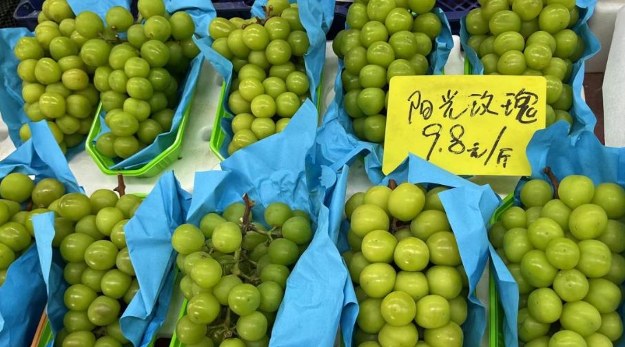 為什么陽光玫瑰青提的價格今年這么便宜？(圖2)