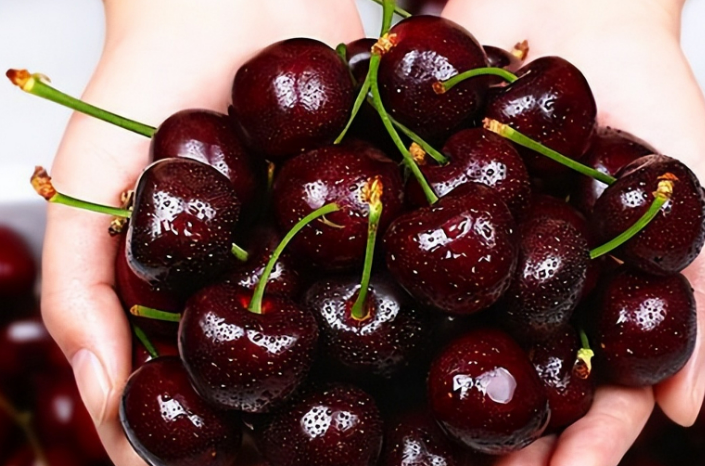 為什么今年車(chē)?yán)遄舆@么便宜？(圖1)